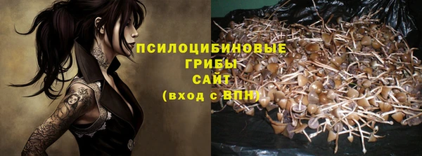 твердый Алексеевка