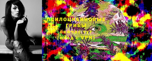 не бодяженный Абдулино