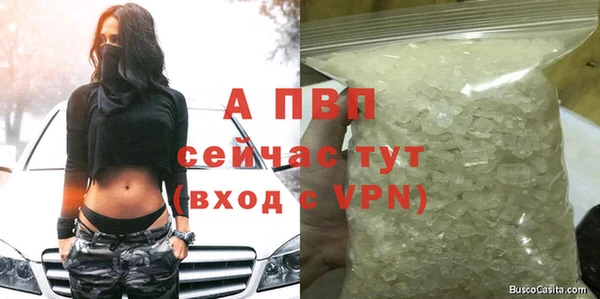 сатива Абинск